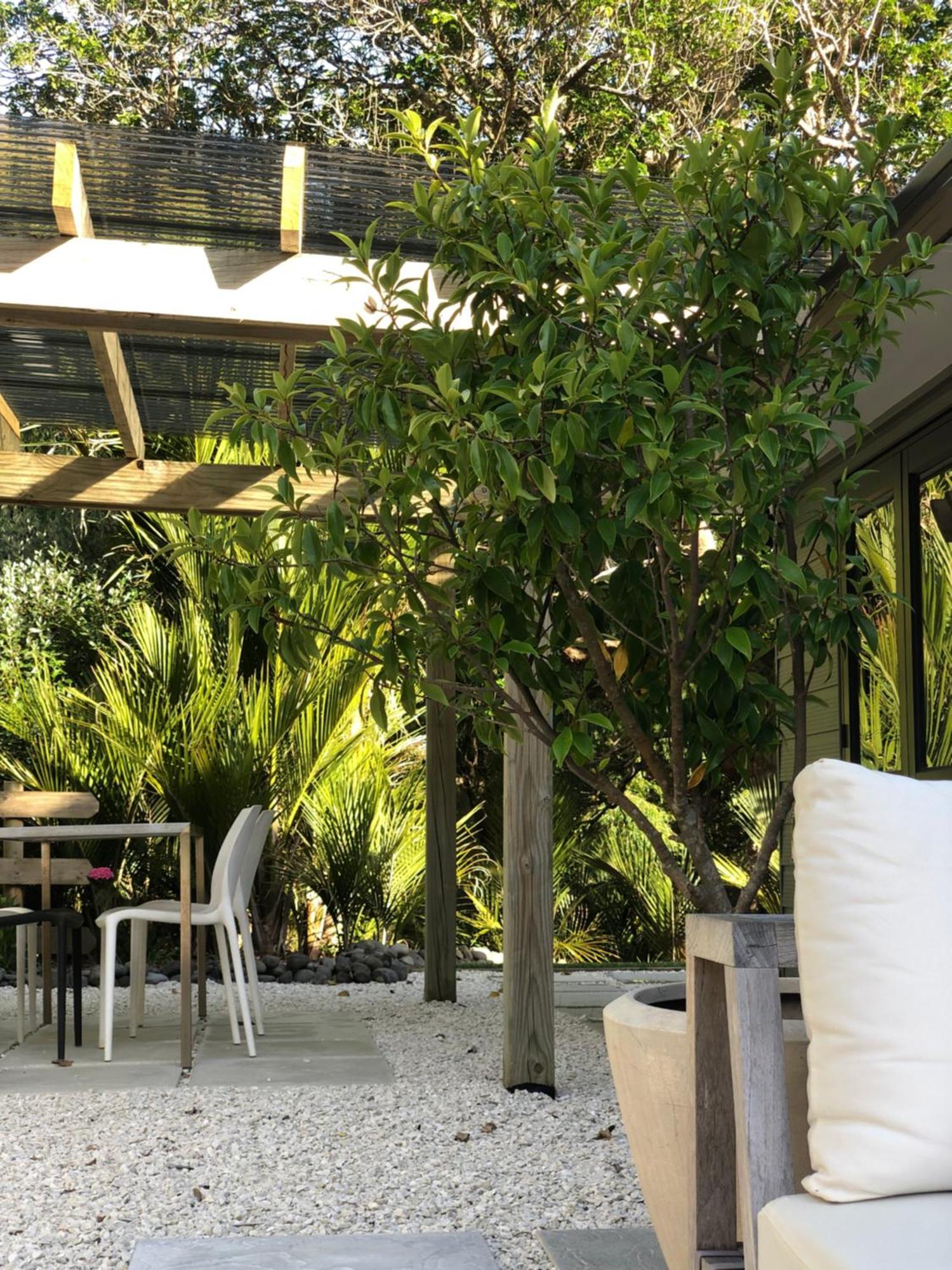 Villetta - Matakana Boutique Luxury Accommodation ภายนอก รูปภาพ