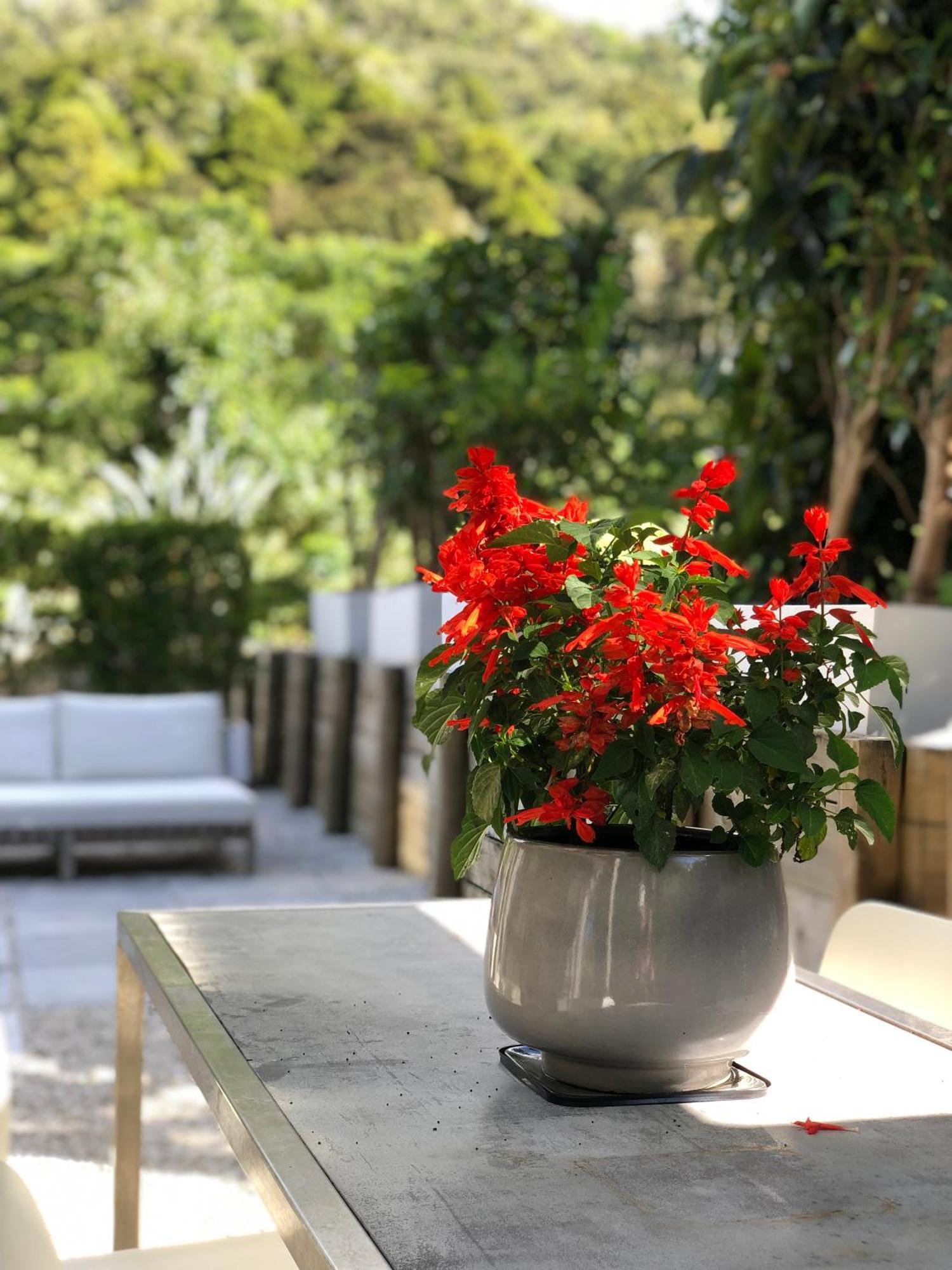 Villetta - Matakana Boutique Luxury Accommodation ภายนอก รูปภาพ